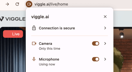Allow camera and mic use and start