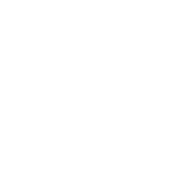 Google AI