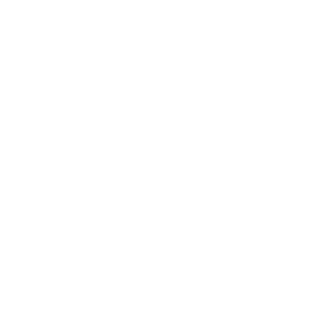 Google AI