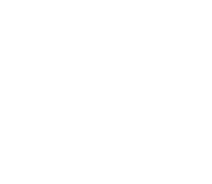 Modelo